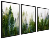 Moderný grafický plagátový triptych FOREST FOG set