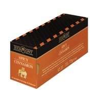 Ovocný čaj Richmont Spicy Cinnamon - 12x6g