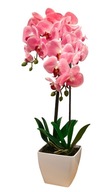 UMELÁ ORCHIDEA silikónová ORCHIDEA 60 cm farby