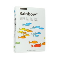 A4 kopírovací papier 160g svetlosivý Rainbow 93