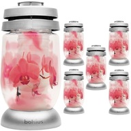 Bolsius Candle Lantern Sklenené sviečky RUŽOVÉ KVETY s 36h vložkou - 6 kusov