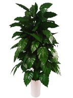 Umelý strom Calathea s kvetinovou dekoráciou, 100 cm