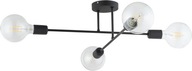 STROPNÉ SVIETIDLO, LOFT EDISON LED LUNTER