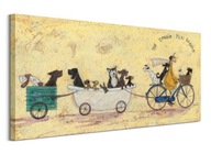 Sam Toft: Taxi služba pre psov – obrázok 50x100