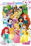 Nástenný plagát Disney Princess 61x91,5