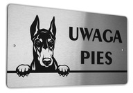 INOX tanier - POZOR PES - Doberman