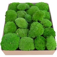 PREMIUM Natural Green Cushion Moss 0,12 m2