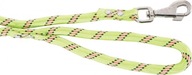 Vodítko ZOLUX Nylon, šnúra 13mm/2m, farba celadon