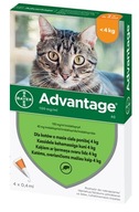 Bayer Advantage Cat kvapky 4x0,4ml pod 4 kg