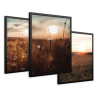 SET Zarámované obrazy plagáty západ slnka lúčne kvety triptych 43x99