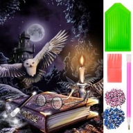 DIAMANTOVÁ VÝŠIVKA HARRY POTTER OWL DIAMANTOVÁ MAĽBA