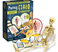 NAUČITE SA O MODELE ĽUDSKÉHO TELA LISCIANIHO SKELETU