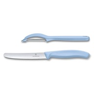 Victorinox set 6.7116.21L22 Trend Colors