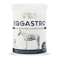 EQGASTRO 2kg - PROTI VREDU PRE KONE AKCIA!