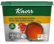 Knorr Seafood Fond v paste 1 kg