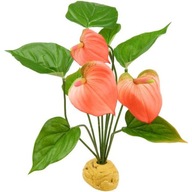 EXO TERRA Anthurium 29cm stojaca rastlina