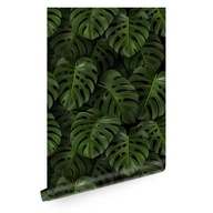 Tapeta s tropickými listami monstera T0254