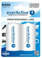 2x BATÉRIE everActive R20/D Ni-MH 10000 mAh