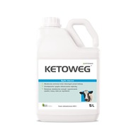 KETOWEG liečba a prevencia ketózy 5L