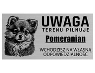 Výstražná tabuľka OBLASTI DOG SLEDUJE POMERANIA