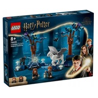 LEGO HARRY POTTER ZAKÁZANÝ LES: Kúzelné stvorenia 76432