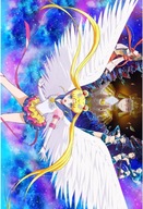 Bishoujo Senshi Sailor Moon bssm_120 A2 (vlastné)