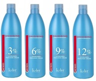 LECHER Genesis OXIDIZÉR 1000ml 6%