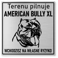 Pozorný pes - American Bully XL