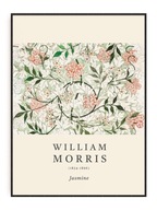 William Morris - Jasmine OBRAZ Z PLAKÁTU 30x40 A3