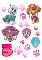 Potlač cukrovej pasty PAW Patrol Skye Everest digital