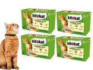 KITEKAT PRÍCHUŤ HYDINY V ŽELÉ 48 x 85 g