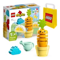 LEGO DUPLO - Pestovanie mrkvy (10981)