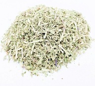 CATNIP CATNIP 1 KG 100% PRÍRODNÝ