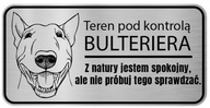 Informačná tabuľa Pozor pes Bull Terrier