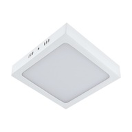 LED stropné svietidlo MARTIN LED D WHITE 24W NW