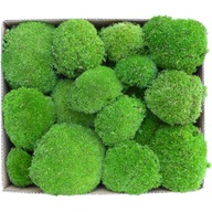 PREMIUM Cushion Moss Natural Green 150g