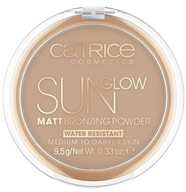 CATRICE BRONZING POWDER 035 UNIVERSAL BRONZE