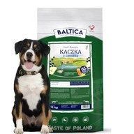 Baltická kačica s hruškou MAXI ADULT 12KG