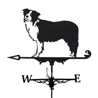 Weathervane Collies z nehrdzavejúcej ocele