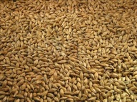 VIENNA slad Viking Malt 5 kg