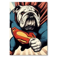 Plechový plagát Darček pre milovníka psov Dog Bulldog Superman