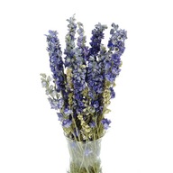 Sušené kvety, modré delphinium, delphinium