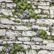 Fototapeta na stenu KAMEŇ WALL MOSS 3D