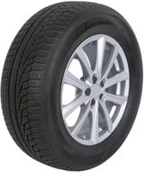 Hankook WINTER I*CEPT EVO2 SUV W320A 225/60R18 104