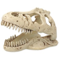 REPTI PLANET T-REX lebka 13,3x8,5x9cm