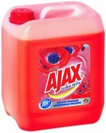 AJAX Floral Fiesta univerzálny prací prostriedok 5l