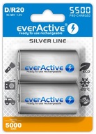 2x NI-MH EVERACTIVE R20 D BATÉRIE 5500 mAh