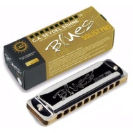 Harmonika Seydel Blues Solist Pro C