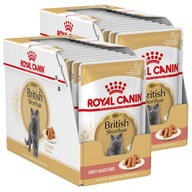 ROYAL CANIN ADULT BRITISH KRÁTKOSRSKÁ MAČKA MOKRÉ KRMIVO V Omáčke 24x85g