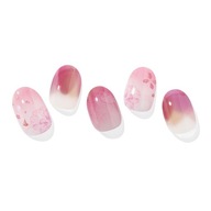 Hybridné nálepky na nechty Ohora Basic Nails Rose Moon Pink Flowers